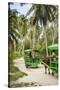 Ox Drawn Cart Taxi, L'Union Estate Plantation, La Digue, Seychelles-Jon Arnold-Stretched Canvas