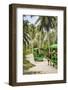 Ox Drawn Cart Taxi, L'Union Estate Plantation, La Digue, Seychelles-Jon Arnold-Framed Photographic Print