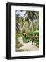 Ox Drawn Cart Taxi, L'Union Estate Plantation, La Digue, Seychelles-Jon Arnold-Framed Photographic Print