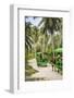 Ox Drawn Cart Taxi, L'Union Estate Plantation, La Digue, Seychelles-Jon Arnold-Framed Photographic Print