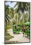 Ox Drawn Cart Taxi, L'Union Estate Plantation, La Digue, Seychelles-Jon Arnold-Mounted Photographic Print