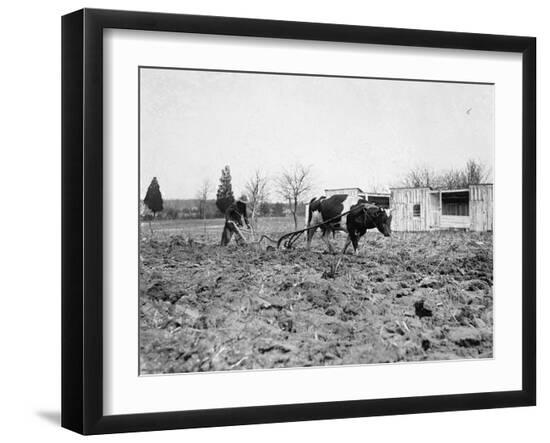 Photo, , large