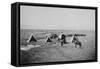 Ox Ranch Cowboys In New Mexico-null-Framed Stretched Canvas