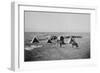 Ox Ranch Cowboys In New Mexico-null-Framed Art Print