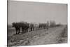 Ox Team And Wagons Fort Custer, Montana-Goff-Stretched Canvas