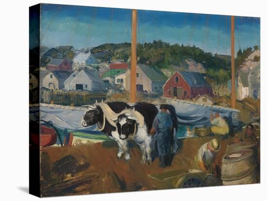 Ox Team, Wharf at Matinicus, 1916-George Wesley Bellows-Stretched Canvas