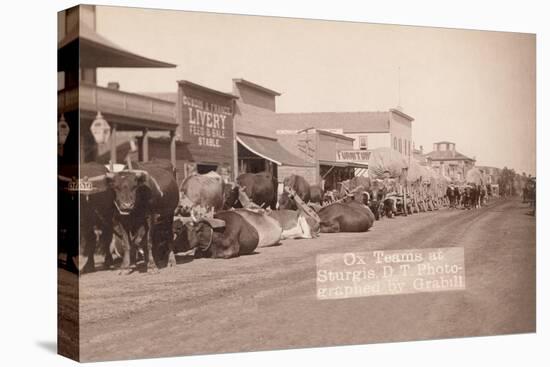 Ox Teams in the Dakota Territory-John C.H. Grabill-Stretched Canvas