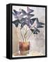 Oxalis in Vase I-Jennifer Parker-Framed Stretched Canvas