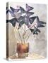 Oxalis in Vase I-Jennifer Parker-Stretched Canvas