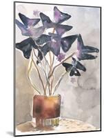 Oxalis in Vase I-Jennifer Parker-Mounted Art Print