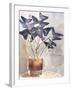 Oxalis in Vase I-Jennifer Parker-Framed Art Print