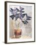 Oxalis in Vase I-Jennifer Parker-Framed Art Print