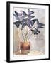 Oxalis in Vase I-Jennifer Parker-Framed Art Print