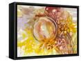 Framed Canvas