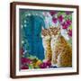 Brown Frame