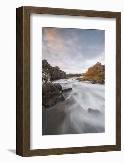 Oxararfoss River at sunrise, Thingvellir National Park, UNESCO World Heritage Site, Iceland, Polar -Jon Reaves-Framed Photographic Print