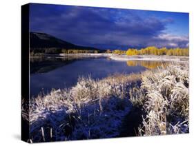 Oxbow Bend at Sunrise, Grand Teton National Park, Wyoming, USA-Rolf Nussbaumer-Stretched Canvas