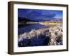 Oxbow Bend at Sunrise, Grand Teton National Park, Wyoming, USA-Rolf Nussbaumer-Framed Photographic Print