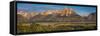 Oxbow Bend Grand Tetons-Steve Gadomski-Framed Stretched Canvas