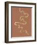 Oxbow VIII-Michael Willett-Framed Art Print