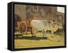 Oxen and Wagon-Giuseppe Abbati-Framed Stretched Canvas