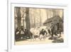 Oxen at Maple Sugar Camp, Vermont-null-Framed Premium Giclee Print