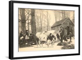 Oxen at Maple Sugar Camp, Vermont-null-Framed Art Print