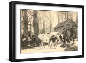 Oxen at Maple Sugar Camp, Vermont-null-Framed Art Print