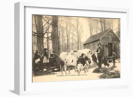 Oxen at Maple Sugar Camp, Vermont-null-Framed Art Print