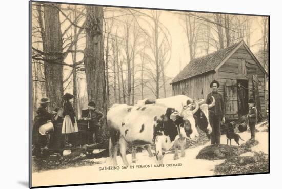 Oxen at Maple Sugar Camp, Vermont-null-Mounted Art Print