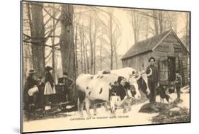 Oxen at Maple Sugar Camp, Vermont-null-Mounted Art Print