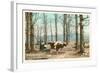 Oxen at Maple Sugar Camp, Vermont-null-Framed Art Print