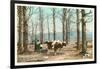 Oxen at Maple Sugar Camp, Vermont-null-Framed Art Print