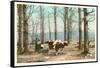 Oxen at Maple Sugar Camp, Vermont-null-Framed Stretched Canvas
