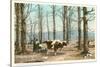 Oxen at Maple Sugar Camp, Vermont-null-Stretched Canvas