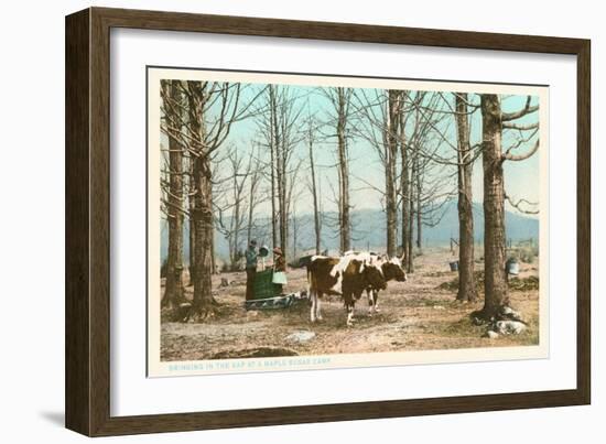 Oxen at Maple Sugar Camp, Vermont-null-Framed Art Print