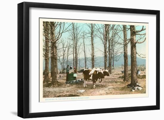 Oxen at Maple Sugar Camp, Vermont-null-Framed Art Print