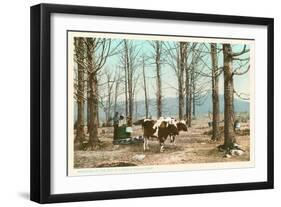 Oxen at Maple Sugar Camp, Vermont-null-Framed Art Print