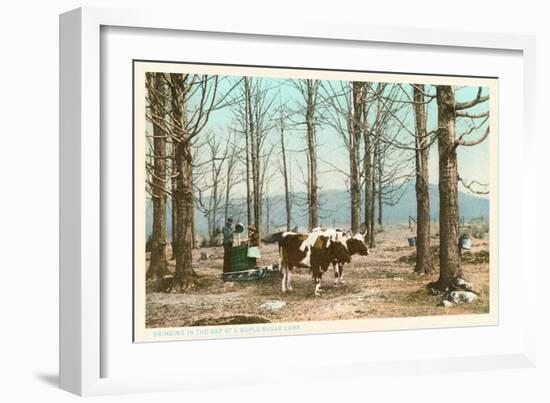 Oxen at Maple Sugar Camp, Vermont-null-Framed Art Print