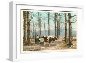 Oxen at Maple Sugar Camp, Vermont-null-Framed Art Print