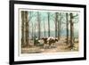 Oxen at Maple Sugar Camp, Vermont-null-Framed Premium Giclee Print