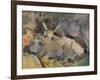 'Oxen at Siena', c1910-John Singer Sargent-Framed Premium Giclee Print