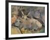 'Oxen at Siena', c1910-John Singer Sargent-Framed Premium Giclee Print