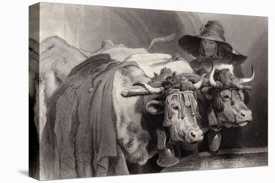 Oxen at the Tank, Geneva, Switzerland-Edwin Henry Landseer-Stretched Canvas