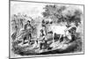 Oxen Hauling Corn, 19th Century-Edwin Forbes-Mounted Giclee Print