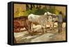 Oxen in Yard-Giovanni Fattori-Framed Stretched Canvas