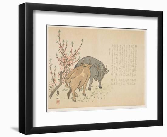 Oxen, January 1853-Yoshimura K?iitsu-Framed Premium Giclee Print