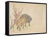 Oxen, January 1853-Yoshimura K?iitsu-Framed Stretched Canvas