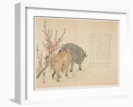 Oxen, January 1853-Yoshimura K?iitsu-Framed Giclee Print