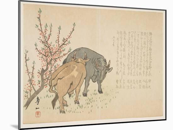 Oxen, January 1853-Yoshimura K?iitsu-Mounted Giclee Print